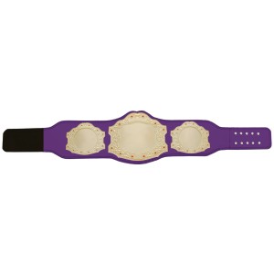 XXL GOLD CUSTOM CHAMPIONSHIP BELT  ***BEST SELLER***